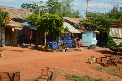 DSC_9697 (Large).JPG